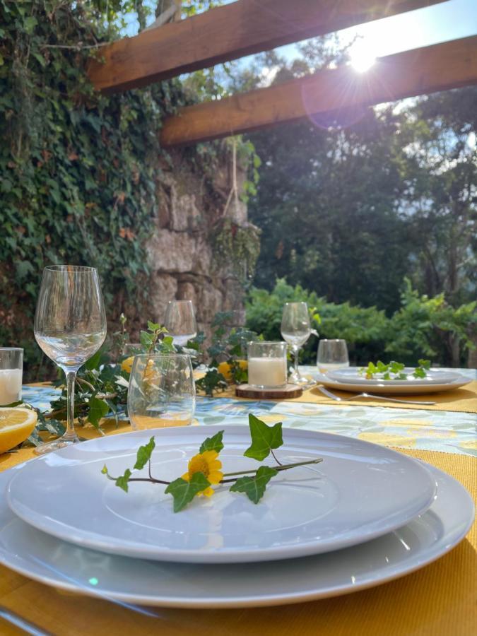 Casa De Morao Villa Viana do Castelo Ngoại thất bức ảnh
